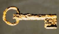 36.jpg